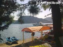 [P27] Detaliu » foto by Aeerdna*
 - 
<span class="allrVoted glyphicon glyphicon-heart hidden" id="av264094"></span>
<a class="m-l-10 hidden" id="sv264094" onclick="voting_Foto_DelVot(,264094,3806)" role="button">șterge vot <span class="glyphicon glyphicon-remove"></span></a>
<a id="v9264094" class=" c-red"  onclick="voting_Foto_SetVot(264094)" role="button"><span class="glyphicon glyphicon-heart-empty"></span> <b>LIKE</b> = Votează poza</a> <img class="hidden"  id="f264094W9" src="/imagini/loader.gif" border="0" /><span class="AjErrMes hidden" id="e264094ErM"></span>