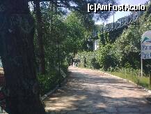 [P28] Detaliu » foto by Aeerdna*
 - 
<span class="allrVoted glyphicon glyphicon-heart hidden" id="av264097"></span>
<a class="m-l-10 hidden" id="sv264097" onclick="voting_Foto_DelVot(,264097,3806)" role="button">șterge vot <span class="glyphicon glyphicon-remove"></span></a>
<a id="v9264097" class=" c-red"  onclick="voting_Foto_SetVot(264097)" role="button"><span class="glyphicon glyphicon-heart-empty"></span> <b>LIKE</b> = Votează poza</a> <img class="hidden"  id="f264097W9" src="/imagini/loader.gif" border="0" /><span class="AjErrMes hidden" id="e264097ErM"></span>