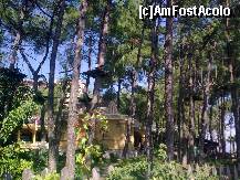 [P30] Loc de agrement în copaci... » foto by Aeerdna*
 - 
<span class="allrVoted glyphicon glyphicon-heart hidden" id="av264099"></span>
<a class="m-l-10 hidden" id="sv264099" onclick="voting_Foto_DelVot(,264099,3806)" role="button">șterge vot <span class="glyphicon glyphicon-remove"></span></a>
<a id="v9264099" class=" c-red"  onclick="voting_Foto_SetVot(264099)" role="button"><span class="glyphicon glyphicon-heart-empty"></span> <b>LIKE</b> = Votează poza</a> <img class="hidden"  id="f264099W9" src="/imagini/loader.gif" border="0" /><span class="AjErrMes hidden" id="e264099ErM"></span>
