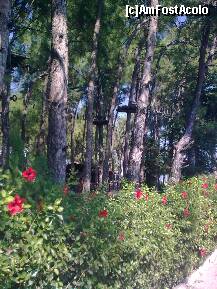 [P31] Detaliu » foto by Aeerdna*
 - 
<span class="allrVoted glyphicon glyphicon-heart hidden" id="av264103"></span>
<a class="m-l-10 hidden" id="sv264103" onclick="voting_Foto_DelVot(,264103,3806)" role="button">șterge vot <span class="glyphicon glyphicon-remove"></span></a>
<a id="v9264103" class=" c-red"  onclick="voting_Foto_SetVot(264103)" role="button"><span class="glyphicon glyphicon-heart-empty"></span> <b>LIKE</b> = Votează poza</a> <img class="hidden"  id="f264103W9" src="/imagini/loader.gif" border="0" /><span class="AjErrMes hidden" id="e264103ErM"></span>