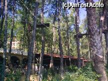 [P32] Detaliu... » foto by Aeerdna*
 - 
<span class="allrVoted glyphicon glyphicon-heart hidden" id="av264105"></span>
<a class="m-l-10 hidden" id="sv264105" onclick="voting_Foto_DelVot(,264105,3806)" role="button">șterge vot <span class="glyphicon glyphicon-remove"></span></a>
<a id="v9264105" class=" c-red"  onclick="voting_Foto_SetVot(264105)" role="button"><span class="glyphicon glyphicon-heart-empty"></span> <b>LIKE</b> = Votează poza</a> <img class="hidden"  id="f264105W9" src="/imagini/loader.gif" border="0" /><span class="AjErrMes hidden" id="e264105ErM"></span>