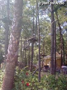 [P33] Detaliu » foto by Aeerdna*
 - 
<span class="allrVoted glyphicon glyphicon-heart hidden" id="av264106"></span>
<a class="m-l-10 hidden" id="sv264106" onclick="voting_Foto_DelVot(,264106,3806)" role="button">șterge vot <span class="glyphicon glyphicon-remove"></span></a>
<a id="v9264106" class=" c-red"  onclick="voting_Foto_SetVot(264106)" role="button"><span class="glyphicon glyphicon-heart-empty"></span> <b>LIKE</b> = Votează poza</a> <img class="hidden"  id="f264106W9" src="/imagini/loader.gif" border="0" /><span class="AjErrMes hidden" id="e264106ErM"></span>