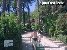 [P34] Intrare la hotel... » foto by Aeerdna*
 - 
<span class="allrVoted glyphicon glyphicon-heart hidden" id="av264107"></span>
<a class="m-l-10 hidden" id="sv264107" onclick="voting_Foto_DelVot(,264107,3806)" role="button">șterge vot <span class="glyphicon glyphicon-remove"></span></a>
<a id="v9264107" class=" c-red"  onclick="voting_Foto_SetVot(264107)" role="button"><span class="glyphicon glyphicon-heart-empty"></span> <b>LIKE</b> = Votează poza</a> <img class="hidden"  id="f264107W9" src="/imagini/loader.gif" border="0" /><span class="AjErrMes hidden" id="e264107ErM"></span>