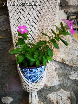 [P41] Fita Restaurant; decor » foto by crismis
 - 
<span class="allrVoted glyphicon glyphicon-heart hidden" id="av1115727"></span>
<a class="m-l-10 hidden" id="sv1115727" onclick="voting_Foto_DelVot(,1115727,3806)" role="button">șterge vot <span class="glyphicon glyphicon-remove"></span></a>
<a id="v91115727" class=" c-red"  onclick="voting_Foto_SetVot(1115727)" role="button"><span class="glyphicon glyphicon-heart-empty"></span> <b>LIKE</b> = Votează poza</a> <img class="hidden"  id="f1115727W9" src="/imagini/loader.gif" border="0" /><span class="AjErrMes hidden" id="e1115727ErM"></span>