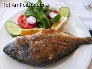 [P50] Fita Restaurant; doradă » foto by crismis
 - 
<span class="allrVoted glyphicon glyphicon-heart hidden" id="av1115736"></span>
<a class="m-l-10 hidden" id="sv1115736" onclick="voting_Foto_DelVot(,1115736,3806)" role="button">șterge vot <span class="glyphicon glyphicon-remove"></span></a>
<a id="v91115736" class=" c-red"  onclick="voting_Foto_SetVot(1115736)" role="button"><span class="glyphicon glyphicon-heart-empty"></span> <b>LIKE</b> = Votează poza</a> <img class="hidden"  id="f1115736W9" src="/imagini/loader.gif" border="0" /><span class="AjErrMes hidden" id="e1115736ErM"></span>