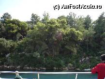 [P24] Gaios - peisaje de vis la intrarea in port » foto by danoradea
 - 
<span class="allrVoted glyphicon glyphicon-heart hidden" id="av26228"></span>
<a class="m-l-10 hidden" id="sv26228" onclick="voting_Foto_DelVot(,26228,3807)" role="button">șterge vot <span class="glyphicon glyphicon-remove"></span></a>
<a id="v926228" class=" c-red"  onclick="voting_Foto_SetVot(26228)" role="button"><span class="glyphicon glyphicon-heart-empty"></span> <b>LIKE</b> = Votează poza</a> <img class="hidden"  id="f26228W9" src="/imagini/loader.gif" border="0" /><span class="AjErrMes hidden" id="e26228ErM"></span>