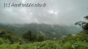 [P04] Midagahara, 2000m. Caldera vulcanica » foto by dop.tirbuson
 - 
<span class="allrVoted glyphicon glyphicon-heart hidden" id="av1529874"></span>
<a class="m-l-10 hidden" id="sv1529874" onclick="voting_Foto_DelVot(,1529874,3821)" role="button">șterge vot <span class="glyphicon glyphicon-remove"></span></a>
<a id="v91529874" class=" c-red"  onclick="voting_Foto_SetVot(1529874)" role="button"><span class="glyphicon glyphicon-heart-empty"></span> <b>LIKE</b> = Votează poza</a> <img class="hidden"  id="f1529874W9" src="/imagini/loader.gif" border="0" /><span class="AjErrMes hidden" id="e1529874ErM"></span>