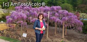 [P13] parcul cu glicine » foto by mariana07
 - 
<span class="allrVoted glyphicon glyphicon-heart hidden" id="av1068250"></span>
<a class="m-l-10 hidden" id="sv1068250" onclick="voting_Foto_DelVot(,1068250,3821)" role="button">șterge vot <span class="glyphicon glyphicon-remove"></span></a>
<a id="v91068250" class=" c-red"  onclick="voting_Foto_SetVot(1068250)" role="button"><span class="glyphicon glyphicon-heart-empty"></span> <b>LIKE</b> = Votează poza</a> <img class="hidden"  id="f1068250W9" src="/imagini/loader.gif" border="0" /><span class="AjErrMes hidden" id="e1068250ErM"></span>