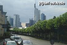 [P25] Tot Frankfurt cu cladirile inalte, dar si cu strazi curate, cu copacii in rand ( minunati, nu?!...) » foto by ileanaxperta*
 - 
<span class="allrVoted glyphicon glyphicon-heart hidden" id="av126751"></span>
<a class="m-l-10 hidden" id="sv126751" onclick="voting_Foto_DelVot(,126751,3827)" role="button">șterge vot <span class="glyphicon glyphicon-remove"></span></a>
<a id="v9126751" class=" c-red"  onclick="voting_Foto_SetVot(126751)" role="button"><span class="glyphicon glyphicon-heart-empty"></span> <b>LIKE</b> = Votează poza</a> <img class="hidden"  id="f126751W9" src="/imagini/loader.gif" border="0" /><span class="AjErrMes hidden" id="e126751ErM"></span>