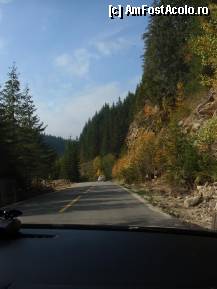 [P01] Pe drumuri de munte spre Masivul Sureanu » foto by sunflower
 - 
<span class="allrVoted glyphicon glyphicon-heart hidden" id="av296265"></span>
<a class="m-l-10 hidden" id="sv296265" onclick="voting_Foto_DelVot(,296265,3832)" role="button">șterge vot <span class="glyphicon glyphicon-remove"></span></a>
<a id="v9296265" class=" c-red"  onclick="voting_Foto_SetVot(296265)" role="button"><span class="glyphicon glyphicon-heart-empty"></span> <b>LIKE</b> = Votează poza</a> <img class="hidden"  id="f296265W9" src="/imagini/loader.gif" border="0" /><span class="AjErrMes hidden" id="e296265ErM"></span>