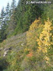 [P02] Spre Masivul Sureanu - dulce toamna » foto by sunflower
 - 
<span class="allrVoted glyphicon glyphicon-heart hidden" id="av296266"></span>
<a class="m-l-10 hidden" id="sv296266" onclick="voting_Foto_DelVot(,296266,3832)" role="button">șterge vot <span class="glyphicon glyphicon-remove"></span></a>
<a id="v9296266" class=" c-red"  onclick="voting_Foto_SetVot(296266)" role="button"><span class="glyphicon glyphicon-heart-empty"></span> <b>LIKE</b> = Votează poza</a> <img class="hidden"  id="f296266W9" src="/imagini/loader.gif" border="0" /><span class="AjErrMes hidden" id="e296266ErM"></span>