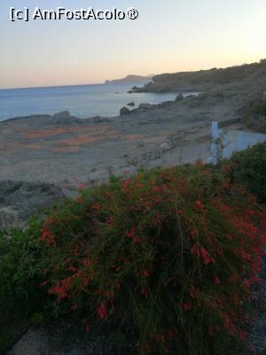 [P24]  -- <small>// FĂRĂ DESCRIERE</small> » foto by Cristian_h
 - 
<span class="allrVoted glyphicon glyphicon-heart hidden" id="av1508374"></span>
<a class="m-l-10 hidden" id="sv1508374" onclick="voting_Foto_DelVot(,1508374,3837)" role="button">șterge vot <span class="glyphicon glyphicon-remove"></span></a>
<a id="v91508374" class=" c-red"  onclick="voting_Foto_SetVot(1508374)" role="button"><span class="glyphicon glyphicon-heart-empty"></span> <b>LIKE</b> = Votează poza</a> <img class="hidden"  id="f1508374W9" src="/imagini/loader.gif" border="0" /><span class="AjErrMes hidden" id="e1508374ErM"></span>