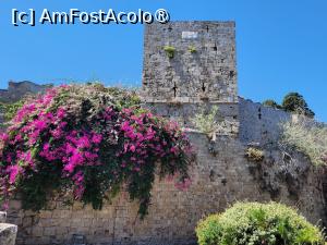 [P11] Cetatea orașului Rhodos » foto by vlado2
 - 
<span class="allrVoted glyphicon glyphicon-heart hidden" id="av1518414"></span>
<a class="m-l-10 hidden" id="sv1518414" onclick="voting_Foto_DelVot(,1518414,3837)" role="button">șterge vot <span class="glyphicon glyphicon-remove"></span></a>
<a id="v91518414" class=" c-red"  onclick="voting_Foto_SetVot(1518414)" role="button"><span class="glyphicon glyphicon-heart-empty"></span> <b>LIKE</b> = Votează poza</a> <img class="hidden"  id="f1518414W9" src="/imagini/loader.gif" border="0" /><span class="AjErrMes hidden" id="e1518414ErM"></span>