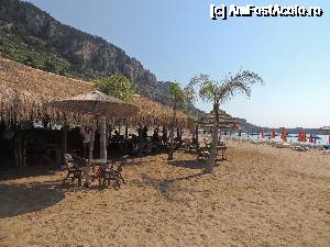 [P12] Tsambika, atat de exotica, mie mi-a placut » foto by claudiu 71
 - 
<span class="allrVoted glyphicon glyphicon-heart hidden" id="av690101"></span>
<a class="m-l-10 hidden" id="sv690101" onclick="voting_Foto_DelVot(,690101,3837)" role="button">șterge vot <span class="glyphicon glyphicon-remove"></span></a>
<a id="v9690101" class=" c-red"  onclick="voting_Foto_SetVot(690101)" role="button"><span class="glyphicon glyphicon-heart-empty"></span> <b>LIKE</b> = Votează poza</a> <img class="hidden"  id="f690101W9" src="/imagini/loader.gif" border="0" /><span class="AjErrMes hidden" id="e690101ErM"></span>