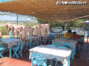 [P16] Poftiti la masa in Plimiri » foto by claudiu 71
 - 
<span class="allrVoted glyphicon glyphicon-heart hidden" id="av690105"></span>
<a class="m-l-10 hidden" id="sv690105" onclick="voting_Foto_DelVot(,690105,3837)" role="button">șterge vot <span class="glyphicon glyphicon-remove"></span></a>
<a id="v9690105" class=" c-red"  onclick="voting_Foto_SetVot(690105)" role="button"><span class="glyphicon glyphicon-heart-empty"></span> <b>LIKE</b> = Votează poza</a> <img class="hidden"  id="f690105W9" src="/imagini/loader.gif" border="0" /><span class="AjErrMes hidden" id="e690105ErM"></span>