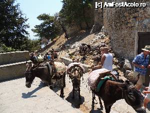 [P21] Lindos taxi :)  » foto by claudiu 71
 - 
<span class="allrVoted glyphicon glyphicon-heart hidden" id="av690111"></span>
<a class="m-l-10 hidden" id="sv690111" onclick="voting_Foto_DelVot(,690111,3837)" role="button">șterge vot <span class="glyphicon glyphicon-remove"></span></a>
<a id="v9690111" class=" c-red"  onclick="voting_Foto_SetVot(690111)" role="button"><span class="glyphicon glyphicon-heart-empty"></span> <b>LIKE</b> = Votează poza</a> <img class="hidden"  id="f690111W9" src="/imagini/loader.gif" border="0" /><span class="AjErrMes hidden" id="e690111ErM"></span>