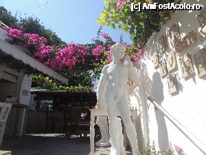 [P24]  -- <small>// FĂRĂ DESCRIERE</small> » foto by claudiu 71
 - 
<span class="allrVoted glyphicon glyphicon-heart hidden" id="av690115"></span>
<a class="m-l-10 hidden" id="sv690115" onclick="voting_Foto_DelVot(,690115,3837)" role="button">șterge vot <span class="glyphicon glyphicon-remove"></span></a>
<a id="v9690115" class=" c-red"  onclick="voting_Foto_SetVot(690115)" role="button"><span class="glyphicon glyphicon-heart-empty"></span> <b>LIKE</b> = Votează poza</a> <img class="hidden"  id="f690115W9" src="/imagini/loader.gif" border="0" /><span class="AjErrMes hidden" id="e690115ErM"></span>