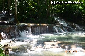 [P12] Cascada Dunn's River Falls... o aventura si senzatie unica la escaladarea ei... se face in grupuri de aprox. 10-15 oameni, ce se tin de mina, plus ghizii » foto by Richard
 - 
<span class="allrVoted glyphicon glyphicon-heart hidden" id="av610196"></span>
<a class="m-l-10 hidden" id="sv610196" onclick="voting_Foto_DelVot(,610196,3840)" role="button">șterge vot <span class="glyphicon glyphicon-remove"></span></a>
<a id="v9610196" class=" c-red"  onclick="voting_Foto_SetVot(610196)" role="button"><span class="glyphicon glyphicon-heart-empty"></span> <b>LIKE</b> = Votează poza</a> <img class="hidden"  id="f610196W9" src="/imagini/loader.gif" border="0" /><span class="AjErrMes hidden" id="e610196ErM"></span>