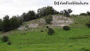 [P22] Urme de calcar și var » foto by bog68
 - 
<span class="allrVoted glyphicon glyphicon-heart hidden" id="av527594"></span>
<a class="m-l-10 hidden" id="sv527594" onclick="voting_Foto_DelVot(,527594,3841)" role="button">șterge vot <span class="glyphicon glyphicon-remove"></span></a>
<a id="v9527594" class=" c-red"  onclick="voting_Foto_SetVot(527594)" role="button"><span class="glyphicon glyphicon-heart-empty"></span> <b>LIKE</b> = Votează poza</a> <img class="hidden"  id="f527594W9" src="/imagini/loader.gif" border="0" /><span class="AjErrMes hidden" id="e527594ErM"></span>