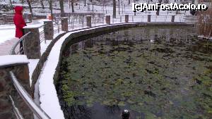 [P04] Băile Felix -... şi lacul cu nuferii 'adormiţi'...  » foto by Dragoș_MD
 - 
<span class="allrVoted glyphicon glyphicon-heart hidden" id="av394980"></span>
<a class="m-l-10 hidden" id="sv394980" onclick="voting_Foto_DelVot(,394980,3846)" role="button">șterge vot <span class="glyphicon glyphicon-remove"></span></a>
<a id="v9394980" class=" c-red"  onclick="voting_Foto_SetVot(394980)" role="button"><span class="glyphicon glyphicon-heart-empty"></span> <b>LIKE</b> = Votează poza</a> <img class="hidden"  id="f394980W9" src="/imagini/loader.gif" border="0" /><span class="AjErrMes hidden" id="e394980ErM"></span>