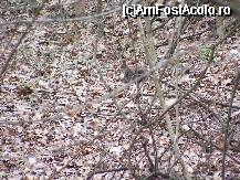 [P07] Baile Felix - in parcul statiunii » foto by danoradea
 - 
<span class="allrVoted glyphicon glyphicon-heart hidden" id="av32278"></span>
<a class="m-l-10 hidden" id="sv32278" onclick="voting_Foto_DelVot(,32278,3846)" role="button">șterge vot <span class="glyphicon glyphicon-remove"></span></a>
<a id="v932278" class=" c-red"  onclick="voting_Foto_SetVot(32278)" role="button"><span class="glyphicon glyphicon-heart-empty"></span> <b>LIKE</b> = Votează poza</a> <img class="hidden"  id="f32278W9" src="/imagini/loader.gif" border="0" /><span class="AjErrMes hidden" id="e32278ErM"></span>