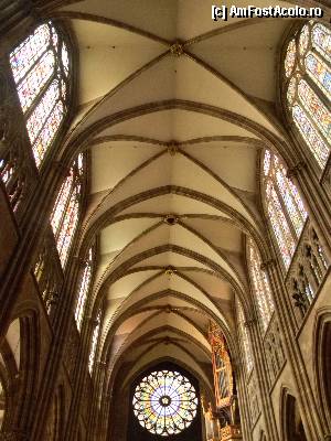 [P20] Strasbourg. Catedrala Notre Dame, un interior cald şi luminos.  » foto by doina_c24
 - 
<span class="allrVoted glyphicon glyphicon-heart hidden" id="av392198"></span>
<a class="m-l-10 hidden" id="sv392198" onclick="voting_Foto_DelVot(,392198,3883)" role="button">șterge vot <span class="glyphicon glyphicon-remove"></span></a>
<a id="v9392198" class=" c-red"  onclick="voting_Foto_SetVot(392198)" role="button"><span class="glyphicon glyphicon-heart-empty"></span> <b>LIKE</b> = Votează poza</a> <img class="hidden"  id="f392198W9" src="/imagini/loader.gif" border="0" /><span class="AjErrMes hidden" id="e392198ErM"></span>