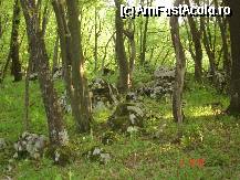 [P30] Ciucaru Mare - unde nu sunt doline, sunt lapiezuri, ca niste martori muţi în pădure, locuri ideale de încălzire şi observare pentru reptile şi rozătoare. » foto by cc_iordachescu
 - 
<span class="allrVoted glyphicon glyphicon-heart hidden" id="av59545"></span>
<a class="m-l-10 hidden" id="sv59545" onclick="voting_Foto_DelVot(,59545,3894)" role="button">șterge vot <span class="glyphicon glyphicon-remove"></span></a>
<a id="v959545" class=" c-red"  onclick="voting_Foto_SetVot(59545)" role="button"><span class="glyphicon glyphicon-heart-empty"></span> <b>LIKE</b> = Votează poza</a> <img class="hidden"  id="f59545W9" src="/imagini/loader.gif" border="0" /><span class="AjErrMes hidden" id="e59545ErM"></span>