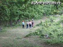 [P36] Ciucarul Mare - unde au cazut pomii, vegetaţia pionier imediat le ia locul (dreapta), ajutând la refacerea echilibrului. » foto by cc_iordachescu
 - 
<span class="allrVoted glyphicon glyphicon-heart hidden" id="av59556"></span>
<a class="m-l-10 hidden" id="sv59556" onclick="voting_Foto_DelVot(,59556,3894)" role="button">șterge vot <span class="glyphicon glyphicon-remove"></span></a>
<a id="v959556" class=" c-red"  onclick="voting_Foto_SetVot(59556)" role="button"><span class="glyphicon glyphicon-heart-empty"></span> <b>LIKE</b> = Votează poza</a> <img class="hidden"  id="f59556W9" src="/imagini/loader.gif" border="0" /><span class="AjErrMes hidden" id="e59556ErM"></span>