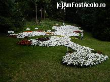 [P18] Insula Mainau- florile albe reprezinta lacul Bodensee, iar cele galbene si rosii orasele de langa lac » foto by ciprian.dima
 - 
<span class="allrVoted glyphicon glyphicon-heart hidden" id="av364834"></span>
<a class="m-l-10 hidden" id="sv364834" onclick="voting_Foto_DelVot(,364834,3920)" role="button">șterge vot <span class="glyphicon glyphicon-remove"></span></a>
<a id="v9364834" class=" c-red"  onclick="voting_Foto_SetVot(364834)" role="button"><span class="glyphicon glyphicon-heart-empty"></span> <b>LIKE</b> = Votează poza</a> <img class="hidden"  id="f364834W9" src="/imagini/loader.gif" border="0" /><span class="AjErrMes hidden" id="e364834ErM"></span>