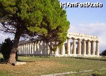 [P02] Al II-lea templu dedicat Herei, multa vreme s-a crezut ca este vorba de o constructie romana fiind denumit'basilica' in trecut acest termen denumea o institutie publica nu o biserica. (imagine incarcata de pe http://en.wikipedia.org/wiki/Paestum) » foto by webmaster
 - 
<span class="allrVoted glyphicon glyphicon-heart hidden" id="av332093"></span>
<a class="m-l-10 hidden" id="sv332093" onclick="voting_Foto_DelVot(,332093,3926)" role="button">șterge vot <span class="glyphicon glyphicon-remove"></span></a>
<a id="v9332093" class=" c-red"  onclick="voting_Foto_SetVot(332093)" role="button"><span class="glyphicon glyphicon-heart-empty"></span> <b>LIKE</b> = Votează poza</a> <img class="hidden"  id="f332093W9" src="/imagini/loader.gif" border="0" /><span class="AjErrMes hidden" id="e332093ErM"></span>