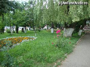 P05 [AUG-2014] La plimbare prin parcul din centrul orașului Gura Humorului. 