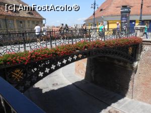 [P02] Sibiu - Pe Podul Minciunilor, admirând "orașul de jos". » foto by iulianic
 - 
<span class="allrVoted glyphicon glyphicon-heart hidden" id="av1355754"></span>
<a class="m-l-10 hidden" id="sv1355754" onclick="voting_Foto_DelVot(,1355754,3936)" role="button">șterge vot <span class="glyphicon glyphicon-remove"></span></a>
<a id="v91355754" class=" c-red"  onclick="voting_Foto_SetVot(1355754)" role="button"><span class="glyphicon glyphicon-heart-empty"></span> <b>LIKE</b> = Votează poza</a> <img class="hidden"  id="f1355754W9" src="/imagini/loader.gif" border="0" /><span class="AjErrMes hidden" id="e1355754ErM"></span>