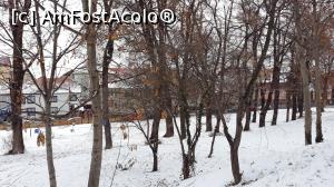 [P07] Parcul Cristianului » foto by AZE
 - 
<span class="allrVoted glyphicon glyphicon-heart hidden" id="av1042751"></span>
<a class="m-l-10 hidden" id="sv1042751" onclick="voting_Foto_DelVot(,1042751,3936)" role="button">șterge vot <span class="glyphicon glyphicon-remove"></span></a>
<a id="v91042751" class=" c-red"  onclick="voting_Foto_SetVot(1042751)" role="button"><span class="glyphicon glyphicon-heart-empty"></span> <b>LIKE</b> = Votează poza</a> <img class="hidden"  id="f1042751W9" src="/imagini/loader.gif" border="0" /><span class="AjErrMes hidden" id="e1042751ErM"></span>