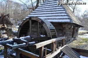 [P26] Muzeul Satului - detaliu » foto by makuy*
 - 
<span class="allrVoted glyphicon glyphicon-heart hidden" id="av599404"></span>
<a class="m-l-10 hidden" id="sv599404" onclick="voting_Foto_DelVot(,599404,3936)" role="button">șterge vot <span class="glyphicon glyphicon-remove"></span></a>
<a id="v9599404" class=" c-red"  onclick="voting_Foto_SetVot(599404)" role="button"><span class="glyphicon glyphicon-heart-empty"></span> <b>LIKE</b> = Votează poza</a> <img class="hidden"  id="f599404W9" src="/imagini/loader.gif" border="0" /><span class="AjErrMes hidden" id="e599404ErM"></span>