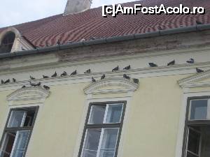 [P19] Piata Mare, aici se ascund porumbeii » foto by dorgo
 - 
<span class="allrVoted glyphicon glyphicon-heart hidden" id="av666182"></span>
<a class="m-l-10 hidden" id="sv666182" onclick="voting_Foto_DelVot(,666182,3936)" role="button">șterge vot <span class="glyphicon glyphicon-remove"></span></a>
<a id="v9666182" class=" c-red"  onclick="voting_Foto_SetVot(666182)" role="button"><span class="glyphicon glyphicon-heart-empty"></span> <b>LIKE</b> = Votează poza</a> <img class="hidden"  id="f666182W9" src="/imagini/loader.gif" border="0" /><span class="AjErrMes hidden" id="e666182ErM"></span>