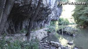 [P08] La Carlige » foto by ungal_mta
 - 
<span class="allrVoted glyphicon glyphicon-heart hidden" id="av641452"></span>
<a class="m-l-10 hidden" id="sv641452" onclick="voting_Foto_DelVot(,641452,3939)" role="button">șterge vot <span class="glyphicon glyphicon-remove"></span></a>
<a id="v9641452" class=" c-red"  onclick="voting_Foto_SetVot(641452)" role="button"><span class="glyphicon glyphicon-heart-empty"></span> <b>LIKE</b> = Votează poza</a> <img class="hidden"  id="f641452W9" src="/imagini/loader.gif" border="0" /><span class="AjErrMes hidden" id="e641452ErM"></span>