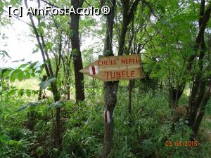 [P01] Prin Cheile Nerei in zona La Tunele. Indicatorul ce ne ghideaza spre intrarea in Chei.  » foto by vega06
 - 
<span class="allrVoted glyphicon glyphicon-heart hidden" id="av731604"></span>
<a class="m-l-10 hidden" id="sv731604" onclick="voting_Foto_DelVot(,731604,3939)" role="button">șterge vot <span class="glyphicon glyphicon-remove"></span></a>
<a id="v9731604" class=" c-red"  onclick="voting_Foto_SetVot(731604)" role="button"><span class="glyphicon glyphicon-heart-empty"></span> <b>LIKE</b> = Votează poza</a> <img class="hidden"  id="f731604W9" src="/imagini/loader.gif" border="0" /><span class="AjErrMes hidden" id="e731604ErM"></span>