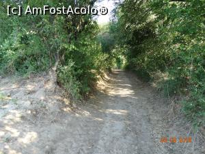 [P02] Prin Cheile Nerei in zona La Tunele. Drumul ce se termina in albia Nerei. Aici va trebui s-o luati prin stanga, cumva paralel cu acest drumeag.  » foto by vega06
 - 
<span class="allrVoted glyphicon glyphicon-heart hidden" id="av731605"></span>
<a class="m-l-10 hidden" id="sv731605" onclick="voting_Foto_DelVot(,731605,3939)" role="button">șterge vot <span class="glyphicon glyphicon-remove"></span></a>
<a id="v9731605" class=" c-red"  onclick="voting_Foto_SetVot(731605)" role="button"><span class="glyphicon glyphicon-heart-empty"></span> <b>LIKE</b> = Votează poza</a> <img class="hidden"  id="f731605W9" src="/imagini/loader.gif" border="0" /><span class="AjErrMes hidden" id="e731605ErM"></span>