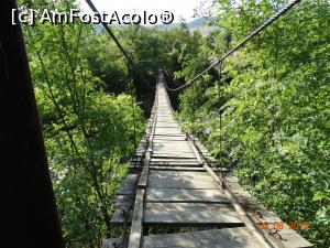 [P03] Prin Cheile Nerei in zona La Tunele. Si iata si podul “bãlãngãnitor” de care va spuneam in review :))  » foto by vega06
 - 
<span class="allrVoted glyphicon glyphicon-heart hidden" id="av731606"></span>
<a class="m-l-10 hidden" id="sv731606" onclick="voting_Foto_DelVot(,731606,3939)" role="button">șterge vot <span class="glyphicon glyphicon-remove"></span></a>
<a id="v9731606" class=" c-red"  onclick="voting_Foto_SetVot(731606)" role="button"><span class="glyphicon glyphicon-heart-empty"></span> <b>LIKE</b> = Votează poza</a> <img class="hidden"  id="f731606W9" src="/imagini/loader.gif" border="0" /><span class="AjErrMes hidden" id="e731606ErM"></span>