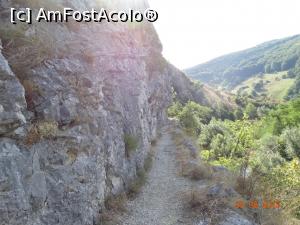 [P07] Prin Cheile Nerei in zona La Tunele. O portiune din poteca sapata in stanca ce va va scoate la tunele.  » foto by vega06
 - 
<span class="allrVoted glyphicon glyphicon-heart hidden" id="av731610"></span>
<a class="m-l-10 hidden" id="sv731610" onclick="voting_Foto_DelVot(,731610,3939)" role="button">șterge vot <span class="glyphicon glyphicon-remove"></span></a>
<a id="v9731610" class=" c-red"  onclick="voting_Foto_SetVot(731610)" role="button"><span class="glyphicon glyphicon-heart-empty"></span> <b>LIKE</b> = Votează poza</a> <img class="hidden"  id="f731610W9" src="/imagini/loader.gif" border="0" /><span class="AjErrMes hidden" id="e731610ErM"></span>