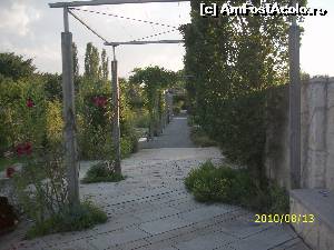 [P27] Aleea încadrată de stâlpi de lemn, adevărate suporuri pentru verdeață. Merge paralel cu micul canal, prin dreapta parcului, pe toată lungimea lui. Aleea singură, și tot e un 'motiv' de promenadă!  » foto by puiutea
 - 
<span class="allrVoted glyphicon glyphicon-heart hidden" id="av579301"></span>
<a class="m-l-10 hidden" id="sv579301" onclick="voting_Foto_DelVot(,579301,3969)" role="button">șterge vot <span class="glyphicon glyphicon-remove"></span></a>
<a id="v9579301" class=" c-red"  onclick="voting_Foto_SetVot(579301)" role="button"><span class="glyphicon glyphicon-heart-empty"></span> <b>LIKE</b> = Votează poza</a> <img class="hidden"  id="f579301W9" src="/imagini/loader.gif" border="0" /><span class="AjErrMes hidden" id="e579301ErM"></span>