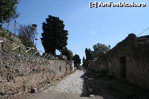 [P11] strada anticul Pompei » foto by crysss18
 - 
<span class="allrVoted glyphicon glyphicon-heart hidden" id="av539583"></span>
<a class="m-l-10 hidden" id="sv539583" onclick="voting_Foto_DelVot(,539583,3976)" role="button">șterge vot <span class="glyphicon glyphicon-remove"></span></a>
<a id="v9539583" class=" c-red"  onclick="voting_Foto_SetVot(539583)" role="button"><span class="glyphicon glyphicon-heart-empty"></span> <b>LIKE</b> = Votează poza</a> <img class="hidden"  id="f539583W9" src="/imagini/loader.gif" border="0" /><span class="AjErrMes hidden" id="e539583ErM"></span>