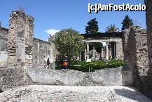 [P05] ITALIA-   INTEROR GRADINA /POMPEI » foto by relu1988
 - 
<span class="allrVoted glyphicon glyphicon-heart hidden" id="av166365"></span>
<a class="m-l-10 hidden" id="sv166365" onclick="voting_Foto_DelVot(,166365,3976)" role="button">șterge vot <span class="glyphicon glyphicon-remove"></span></a>
<a id="v9166365" class=" c-red"  onclick="voting_Foto_SetVot(166365)" role="button"><span class="glyphicon glyphicon-heart-empty"></span> <b>LIKE</b> = Votează poza</a> <img class="hidden"  id="f166365W9" src="/imagini/loader.gif" border="0" /><span class="AjErrMes hidden" id="e166365ErM"></span>