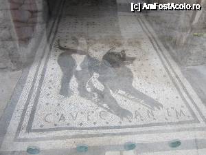 [P11] Mozaic la 'Casa poetului tragic'. CAVE CANEM = Atentie la caine!  » foto by bica adriana
 - 
<span class="allrVoted glyphicon glyphicon-heart hidden" id="av692959"></span>
<a class="m-l-10 hidden" id="sv692959" onclick="voting_Foto_DelVot(,692959,3976)" role="button">șterge vot <span class="glyphicon glyphicon-remove"></span></a>
<a id="v9692959" class=" c-red"  onclick="voting_Foto_SetVot(692959)" role="button"><span class="glyphicon glyphicon-heart-empty"></span> <b>LIKE</b> = Votează poza</a> <img class="hidden"  id="f692959W9" src="/imagini/loader.gif" border="0" /><span class="AjErrMes hidden" id="e692959ErM"></span>