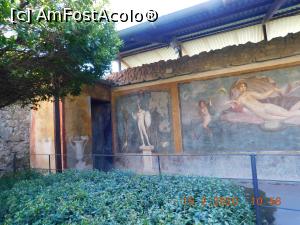 [P47] Din incinta Casa della Venere in Conchiglia » foto by irinad
 - 
<span class="allrVoted glyphicon glyphicon-heart hidden" id="av1176214"></span>
<a class="m-l-10 hidden" id="sv1176214" onclick="voting_Foto_DelVot(,1176214,3976)" role="button">șterge vot <span class="glyphicon glyphicon-remove"></span></a>
<a id="v91176214" class=" c-red"  onclick="voting_Foto_SetVot(1176214)" role="button"><span class="glyphicon glyphicon-heart-empty"></span> <b>LIKE</b> = Votează poza</a> <img class="hidden"  id="f1176214W9" src="/imagini/loader.gif" border="0" /><span class="AjErrMes hidden" id="e1176214ErM"></span>