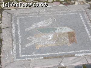 [P12] Pompei. Casa del Fauno. » foto by mihaelavoicu
 - 
<span class="allrVoted glyphicon glyphicon-heart hidden" id="av1184398"></span>
<a class="m-l-10 hidden" id="sv1184398" onclick="voting_Foto_DelVot(,1184398,3976)" role="button">șterge vot <span class="glyphicon glyphicon-remove"></span></a>
<a id="v91184398" class=" c-red"  onclick="voting_Foto_SetVot(1184398)" role="button"><span class="glyphicon glyphicon-heart-empty"></span> <b>LIKE</b> = Votează poza</a> <img class="hidden"  id="f1184398W9" src="/imagini/loader.gif" border="0" /><span class="AjErrMes hidden" id="e1184398ErM"></span>