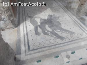 [P08] Pompei. Casa del Poeta Tragico. » foto by mihaelavoicu
 - 
<span class="allrVoted glyphicon glyphicon-heart hidden" id="av1184915"></span>
<a class="m-l-10 hidden" id="sv1184915" onclick="voting_Foto_DelVot(,1184915,3976)" role="button">șterge vot <span class="glyphicon glyphicon-remove"></span></a>
<a id="v91184915" class=" c-red"  onclick="voting_Foto_SetVot(1184915)" role="button"><span class="glyphicon glyphicon-heart-empty"></span> <b>LIKE</b> = Votează poza</a> <img class="hidden"  id="f1184915W9" src="/imagini/loader.gif" border="0" /><span class="AjErrMes hidden" id="e1184915ErM"></span>