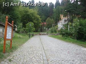 [P23] Aceasta este aleea Sfânta Ana. De aici încep traseele spre Turnul Apor, dar și către lacul Sfânta Ana ori tinovul Mohoș.  » foto by Floryn81
 - 
<span class="allrVoted glyphicon glyphicon-heart hidden" id="av815186"></span>
<a class="m-l-10 hidden" id="sv815186" onclick="voting_Foto_DelVot(,815186,3998)" role="button">șterge vot <span class="glyphicon glyphicon-remove"></span></a>
<a id="v9815186" class=" c-red"  onclick="voting_Foto_SetVot(815186)" role="button"><span class="glyphicon glyphicon-heart-empty"></span> <b>LIKE</b> = Votează poza</a> <img class="hidden"  id="f815186W9" src="/imagini/loader.gif" border="0" /><span class="AjErrMes hidden" id="e815186ErM"></span>