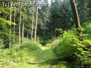 [P48] Ne apropiem de ieșirea din pădure. Sperăm să nu apară Moș Martin în spatele nostru. Am avut noroc! Nu a apărut!  » foto by Floryn81
 - 
<span class="allrVoted glyphicon glyphicon-heart hidden" id="av815214"></span>
<a class="m-l-10 hidden" id="sv815214" onclick="voting_Foto_DelVot(,815214,3998)" role="button">șterge vot <span class="glyphicon glyphicon-remove"></span></a>
<a id="v9815214" class=" c-red"  onclick="voting_Foto_SetVot(815214)" role="button"><span class="glyphicon glyphicon-heart-empty"></span> <b>LIKE</b> = Votează poza</a> <img class="hidden"  id="f815214W9" src="/imagini/loader.gif" border="0" /><span class="AjErrMes hidden" id="e815214ErM"></span>