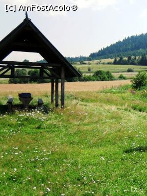 [P17] Detaliu cu filogoria de la Băile Nadaș așa cum era în 2010. În spate este dealul Haromul Mic dincolo de care sunt Băile Lăzărești » foto by Lucien
 - 
<span class="allrVoted glyphicon glyphicon-heart hidden" id="av805149"></span>
<a class="m-l-10 hidden" id="sv805149" onclick="voting_Foto_DelVot(,805149,3998)" role="button">șterge vot <span class="glyphicon glyphicon-remove"></span></a>
<a id="v9805149" class=" c-red"  onclick="voting_Foto_SetVot(805149)" role="button"><span class="glyphicon glyphicon-heart-empty"></span> <b>LIKE</b> = Votează poza</a> <img class="hidden"  id="f805149W9" src="/imagini/loader.gif" border="0" /><span class="AjErrMes hidden" id="e805149ErM"></span>